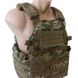 Plate Carrier 6094R "GRAD" MULTICAM (Cordura) 0017800000000000 фото 2